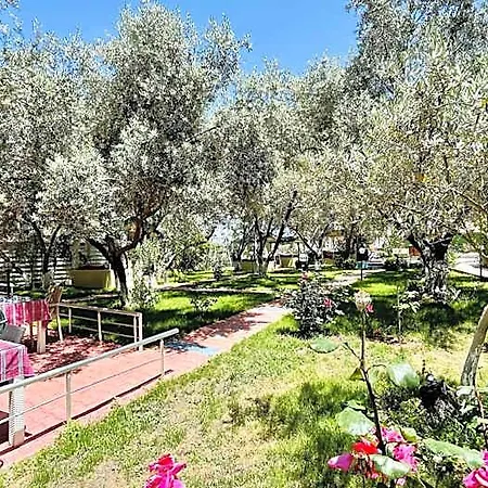 Nature Hotel