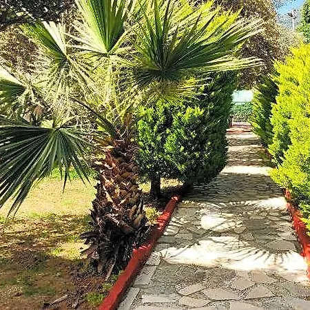 Hotel Nature